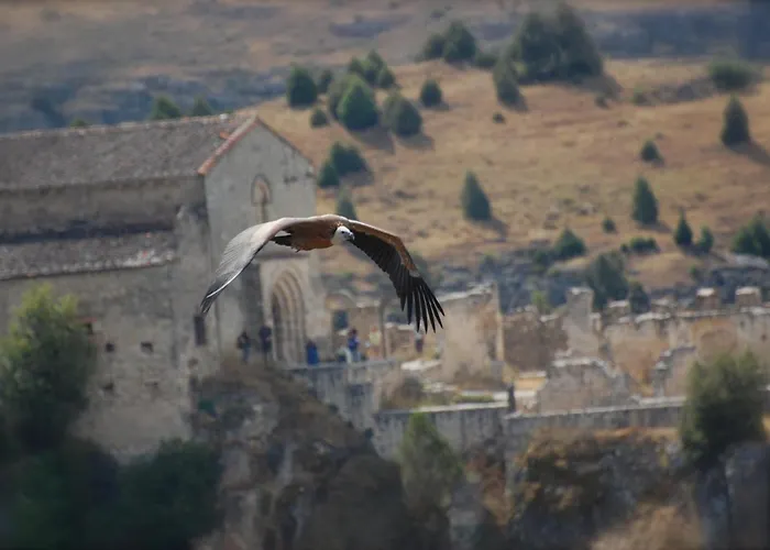 Hotel El Rincon De Hoces Del Duraton 4*